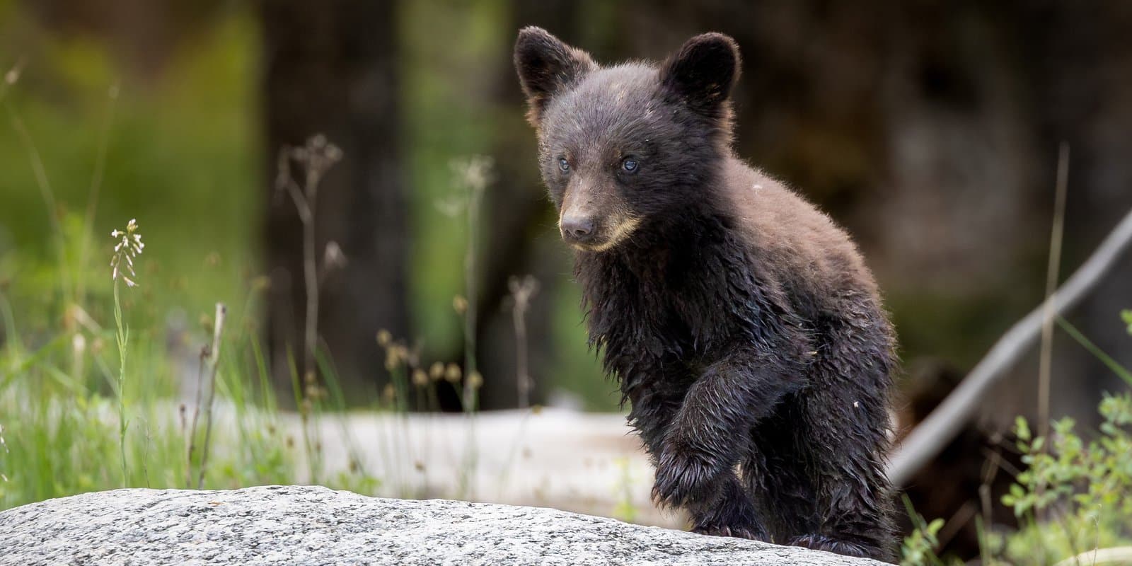 Introducing, the blog of a Newnan Photographer.